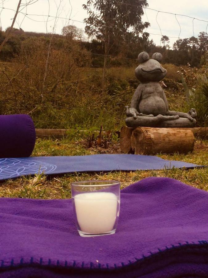 Quinta Da Vida Serena Gaio Ngoại thất bức ảnh
